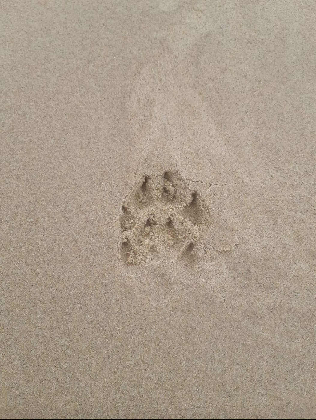 encore un titre validé !!