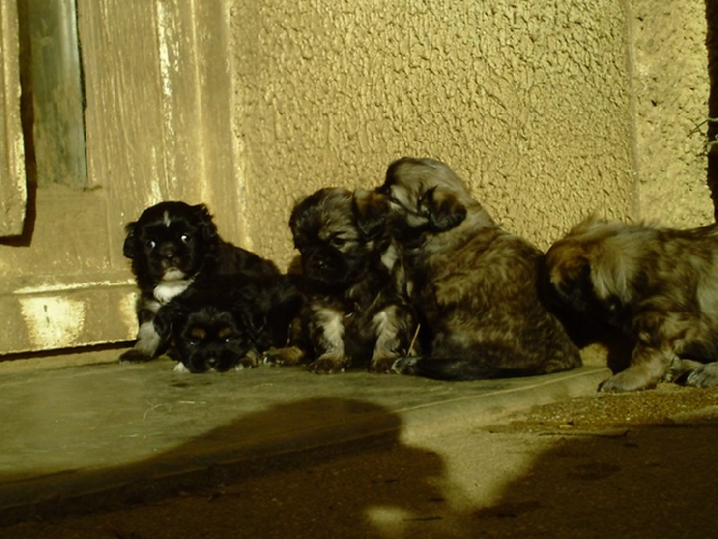 Bébés octobre 2009