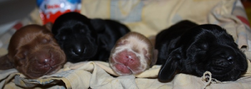 bébés 2012