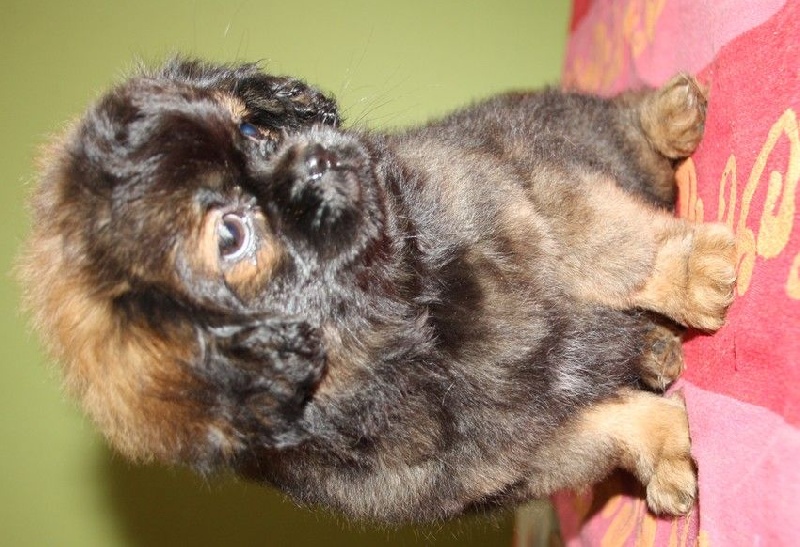 Mahina